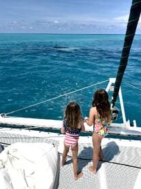 Two children watch dolphins swimming in the clear turquoise waters, creating a magical wildlife encounter on their boating adventure.