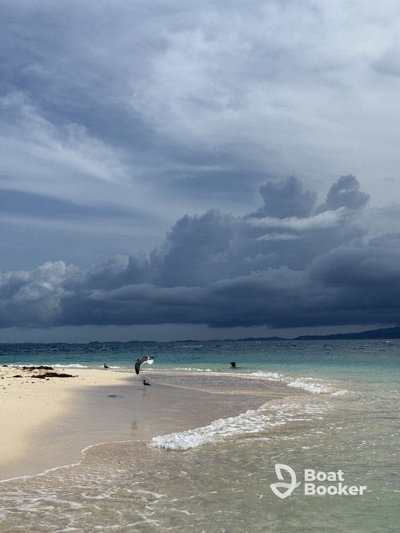 A serene beach scene featuring gentle waves lapping at the shore, with dramatic clouds overhead — a perfect backdrop for a relaxing day by the water.