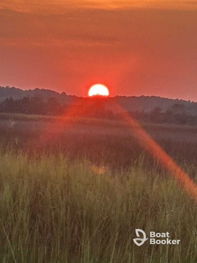 A sunset scene with a blurred foreground, creating an abstract view of nature's beauty.