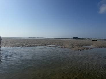 Guests enjoy a sunny day at a sandbar, perfect for relaxation and beach activities. The serene landscape offers a beautiful backdrop for memorable experiences.