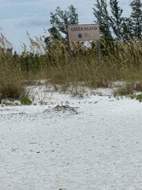 A sign for Greer Island is partially visible amidst sandy terrain and vegetation, but the overall clarity of the image is compromised.