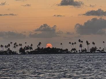 A stunning sunset over an island silhouette, framed by palm trees, creating a picturesque coastal scene perfect for romantic getaways or serene boat trips.