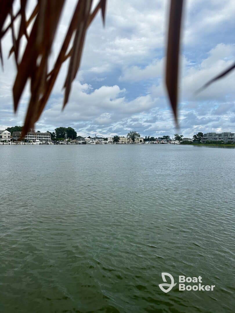 A view of a waterway with buildings in the background, partially obscured by foliage. The image lacks clarity and detail.