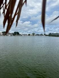 A view of a waterway with buildings in the background, partially obscured by foliage. The image lacks clarity and detail.