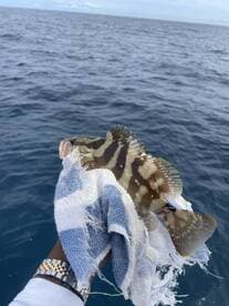 A fisherman proudly displays a freshly caught fish while out on the open water, showcasing the thrill of a successful fishing trip.