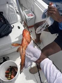 A successful fishing trip aboard a boat, showcasing a freshly caught fish being held up for display — perfect for anglers and seafood lovers.