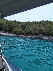 A group enjoys a refreshing swim and paddleboarding in crystal-clear waters, surrounded by lush greenery — an ideal setting for water activities and relaxation.