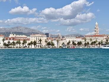 A picturesque view of the coastline featuring palm trees and historic architecture, set against a backdrop of mountains and a clear blue sky — a perfect representation of a vibrant harbor scene.