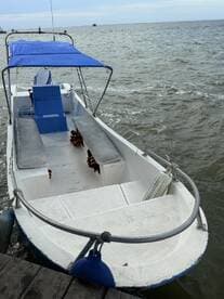 A clear view of a small boat with a blue canopy, docked and ready for adventure on the water. Ideal for fishing trips or leisurely cruises.