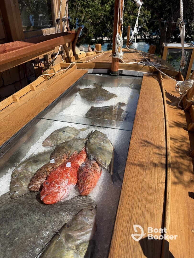 A display of freshly caught fish on ice in a boat's cooler, showcasing the day's catch — perfect for seafood lovers and fishing enthusiasts.