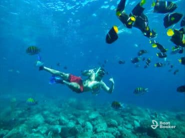 Mahahuitas snorqueling
