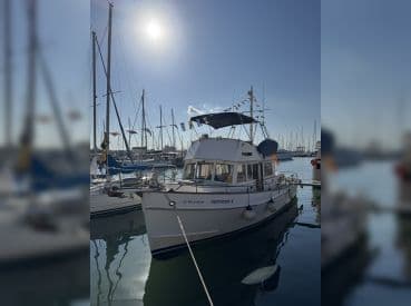 Grand Banks 42