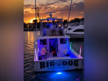 Big Dog Charters