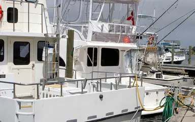 Pakleni Islands