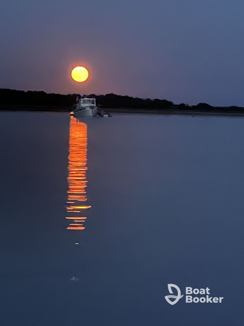 The Sunset Tour