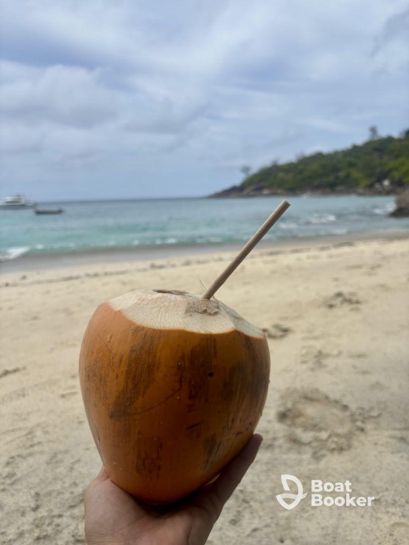 Perfect trip