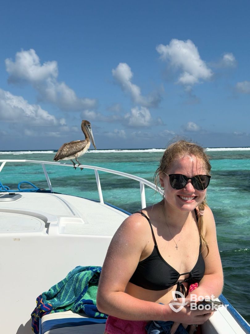 Amazing Experience!