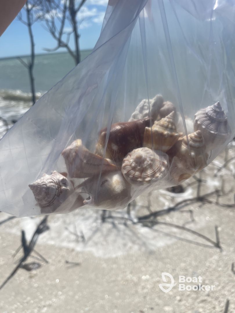Great shelling boat trip!