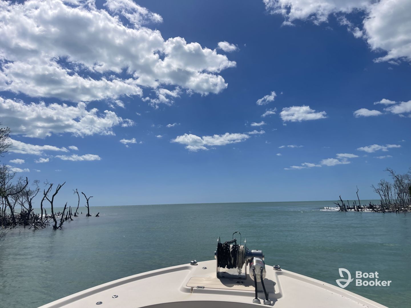 Great shelling boat trip!