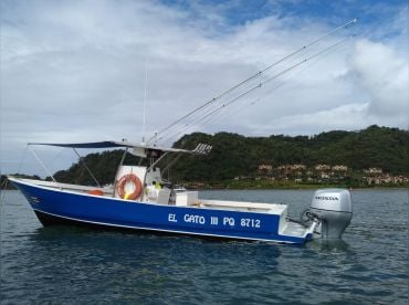 Flamingo Snorkeling And Tours