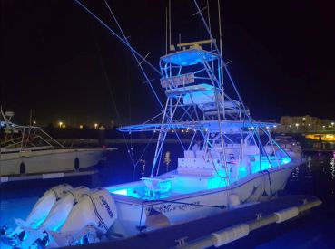 Reel Floridian Fishing