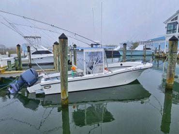 Coastal Guide Service LLC Bay Cruising