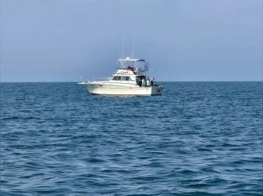 716 Sportfishing