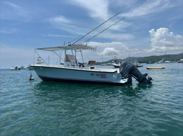Sailfish Tours