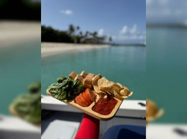 Mako Boat Tours