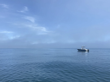 Elysian Charters