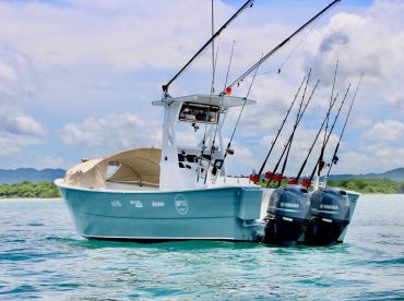Tamarindo Tours Discovery