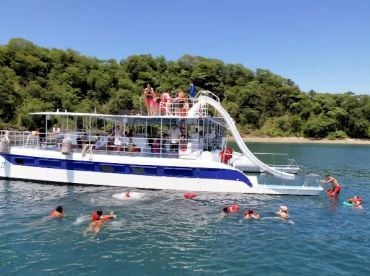Planet Dolphin Catamaran Flamingo