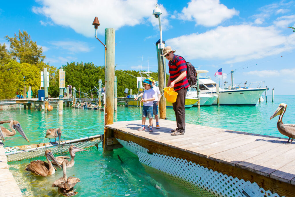 Father And Two Sons Feeding Fishes at the docks in Key West