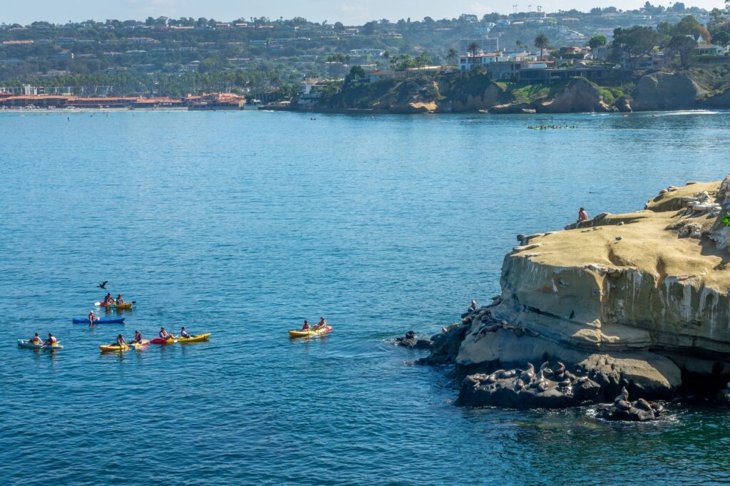 Kayakers Observing Sea Lions In La Jolla Cove San Diego