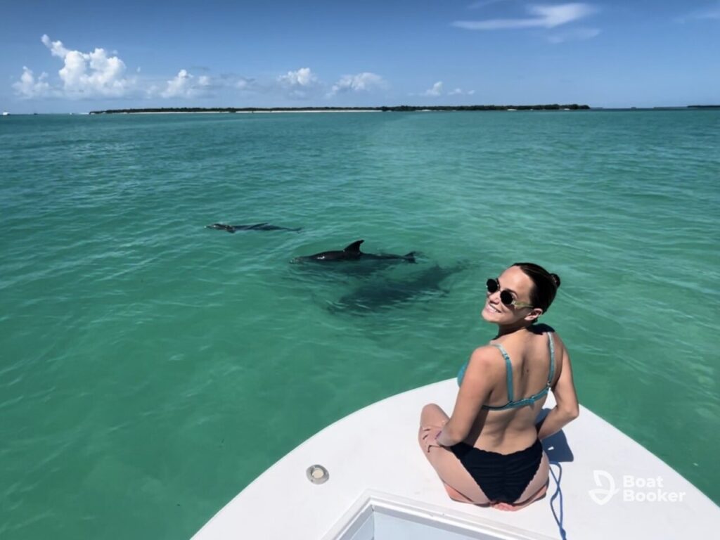 dolphin watching Key West, an ideal family activity